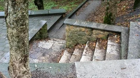 A tree is next to a stone staircase Stock Photos
