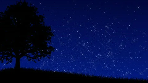 Tree at Night (Animated Background) Stock Footage 673953