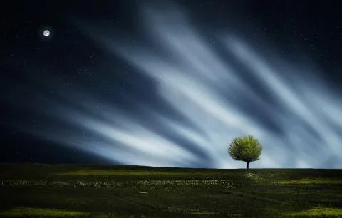 Tree at night with cloud blur Stock Photos