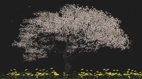 Tree at night Stock Footage 46010666