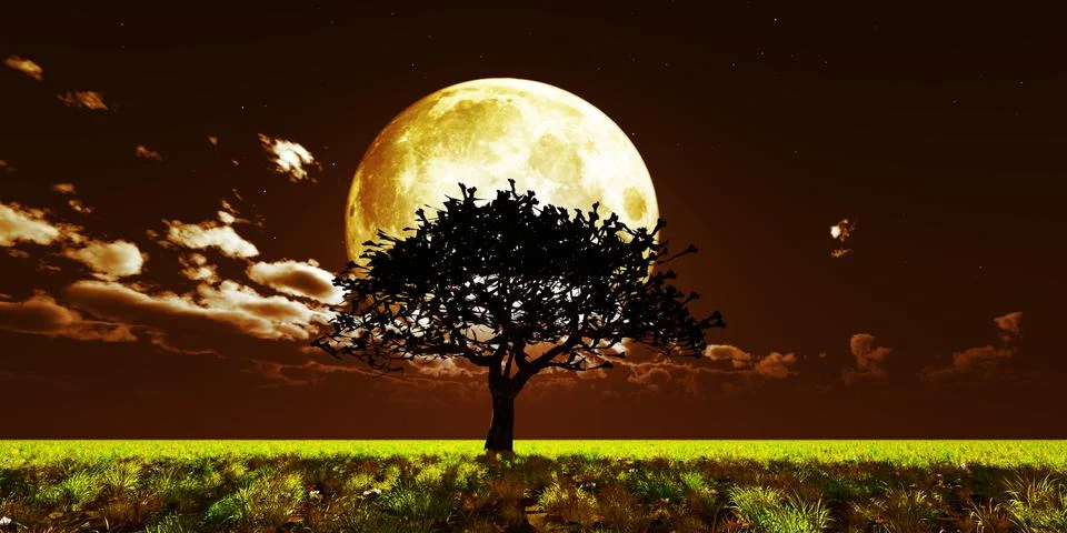 Tree night full moon Illustrazione stock