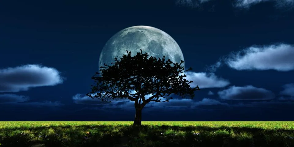 Tree night full moon Stock Illustration
