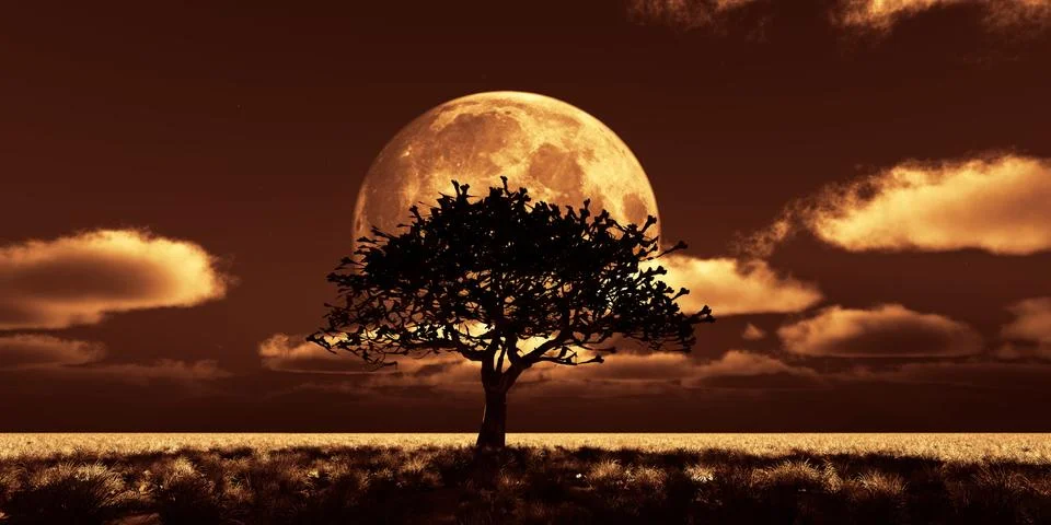 Tree night full moon Stock Illustration