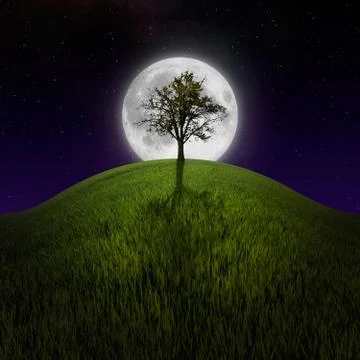 Tree on night hill lit by moon Stock Photos