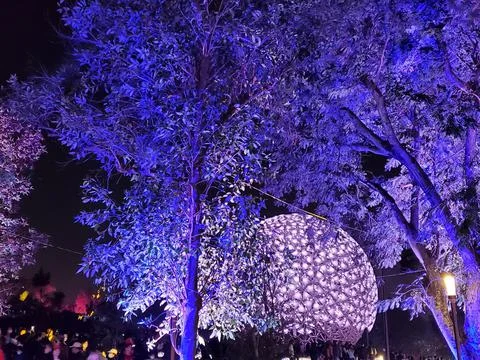 Tree Night Lights Stock Photos