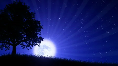 Tree at Night with Moon (Animated Background) Video stock 673902