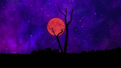 Tree In Night Sky With blood Moon Stock Footage 213809466