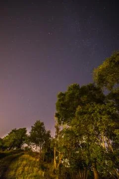 Tree in the night sky Stock Photos