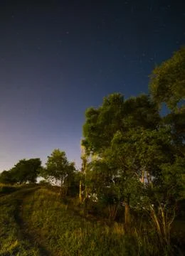 Tree in the night sky Stock Photos