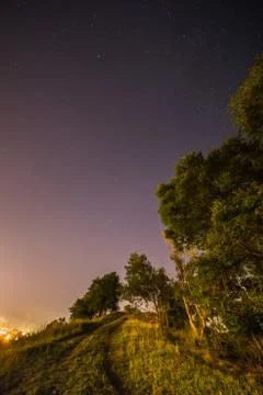 Tree in the night sky Stock Photos