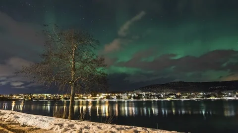 Tree with Nortern Light Stock Footage 87780648