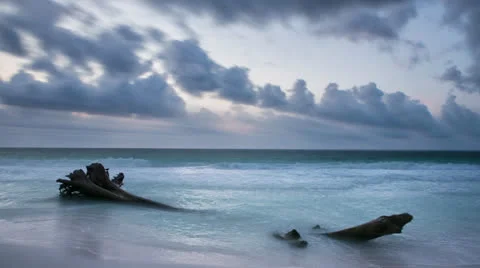 Tree in the Ocean Timelapse Stock Footage 23244651