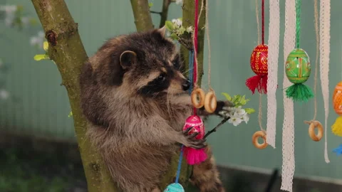 Tree ornaments, Tree branches, Bright tree Stock Footage 325445390