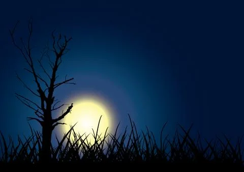 Tree outline on moon sky background. Stock Illustration