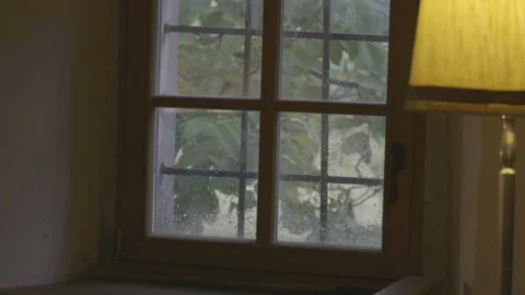 Tree outside the house moving in a heavy rainstorm Stock Footage 160153822