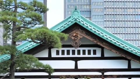 A tree outside the temple of Imperial Palace in Tokyo Japan Stock Footage 121402017