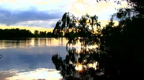 Tree over the river Stock Footage 11029806