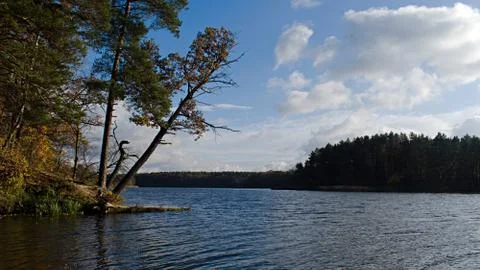Tree over wide river under blue cloudy autumn sky Stock Photos
