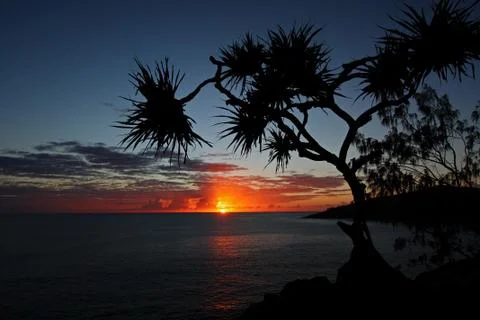 Tree Overhang Landscape Sunset Stock Photos