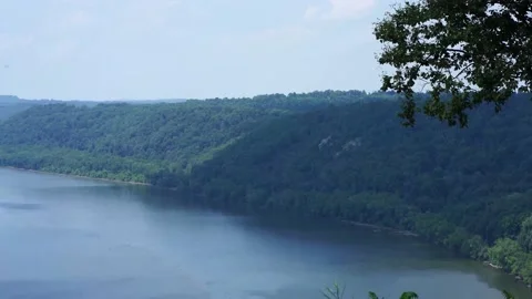 Tree to Overlook 스톡 동영상 207873724