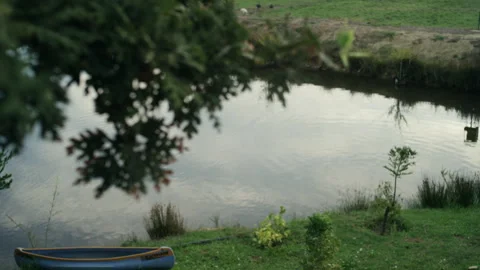 Tree overlooking a pond with a canoe on the grass Stock Footage 278837910