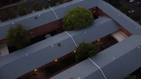 Tree Overtaking Dormitory on University Campus Video stock 275323954