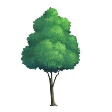 Tree paint Stock Illustration