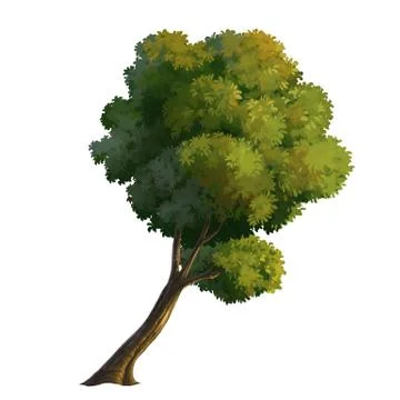 Tree paint Stock Illustration