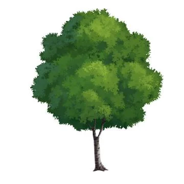 Tree paint Stock Illustration