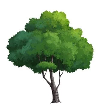 Tree paint Stock Illustration