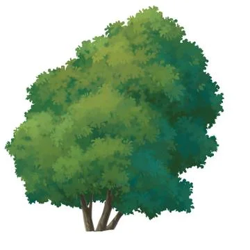 Tree paint Stock Illustration