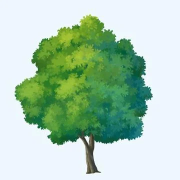 Tree paint Stock Illustration