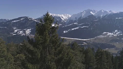 Tree Panorama Valley View Mountain Landscape Aerial 4k Video stock 77463576