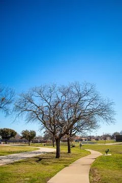 Tree park blue sky Foto stock