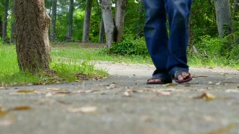 Tree in park Stock Footage 140383493