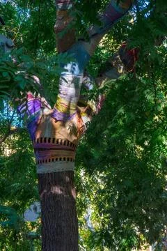 Tree partially covered with colored fabrics Stock Photos