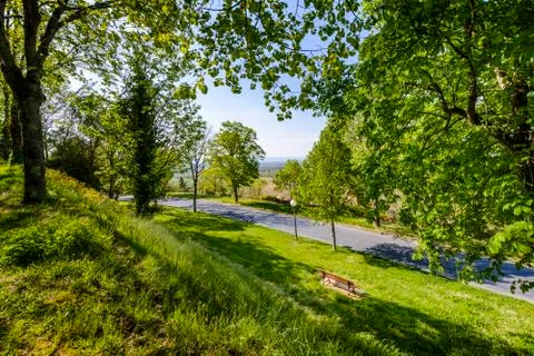 Tree path at Lautrec village Stock Photos