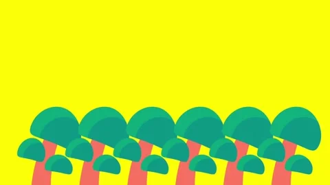 Tree Pattern Video stock 335639713