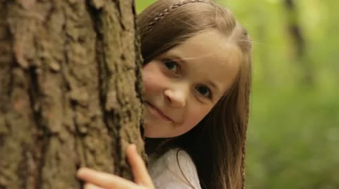 Tree peek Stock Footage 22666973