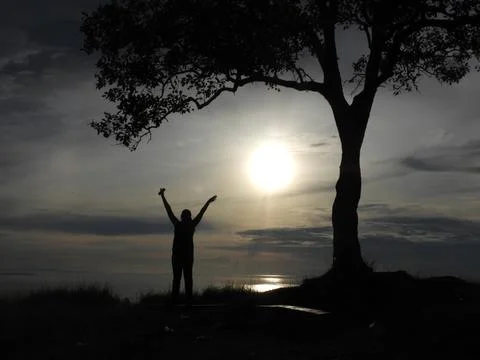Tree Philippines Stock Photos