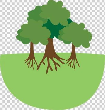Tree Stock Photos