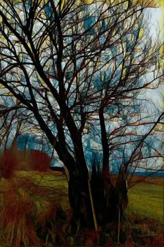 Tree  in  PHoTo-ARTwork Stock Photos