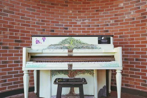Tree on a piano Stock Photos