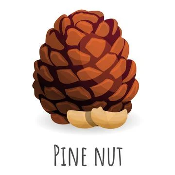 Tree pine nut icon, cartoon style Stock Illustration
