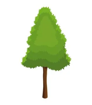 Tree pine plant natural conservation Illustrazione stock