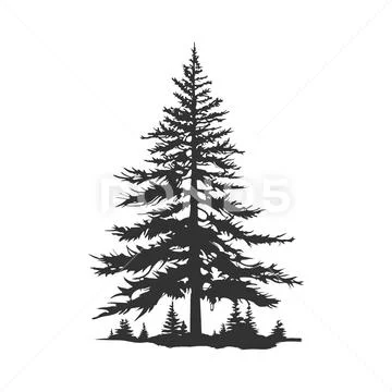 tree pine silhouette tattoo logo illustration 252069456 iconl