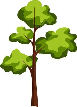 Tree. A pine tree with a long trunk and lush foliage Stock Illustration