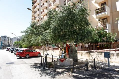 The tree placed at Via D'Amelio  Stock Photos
