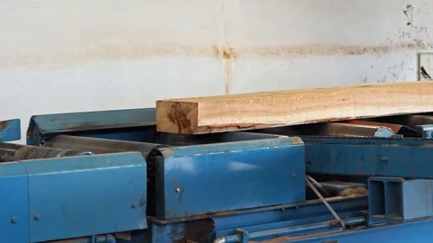 Tree Plank Details Sawmill Interior Slow motion Vídeo Stock 128491945