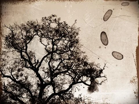 Tree ,plant, flower,icon Stock Illustration